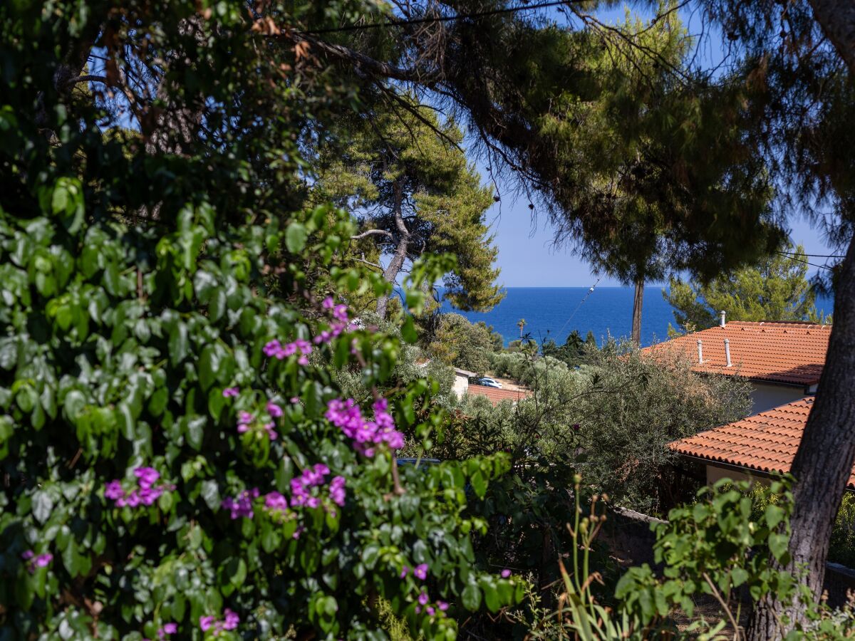 Apartment Two bedroom apartment with terrace and sea view Zavala, Hvar A-8710-b