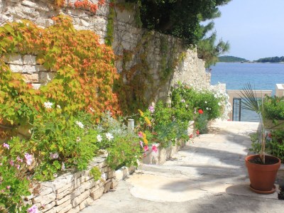 Apartment One bedroom apartment near beach Orebić, Pelješac A-9452-a - Outdoor photo 10