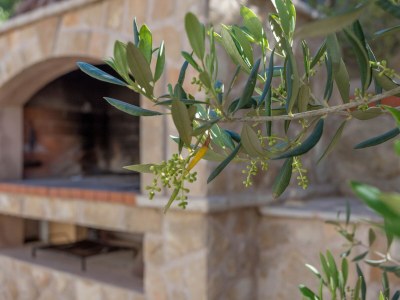 Apartment One bedroom apartment near beach Cove Zastupac, Hvar A-8761-c - Outdoor photo 11