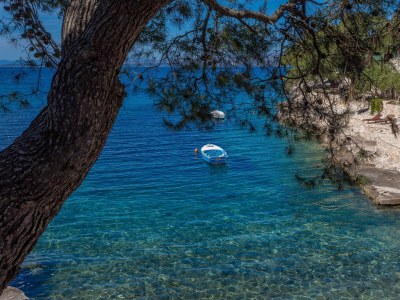 Apartment One bedroom apartment near beach Cove Zastupac, Hvar A-8761-c - Outdoor photo 31