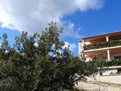 Apartment One bedroom apartment with terrace and sea view Rukavac, Vis A-8839-a - Outdoor photo 3