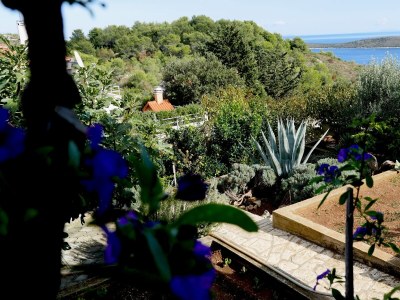 Apartment One bedroom apartment with terrace and sea view Rukavac, Vis A-8839-a - Outdoor photo 7