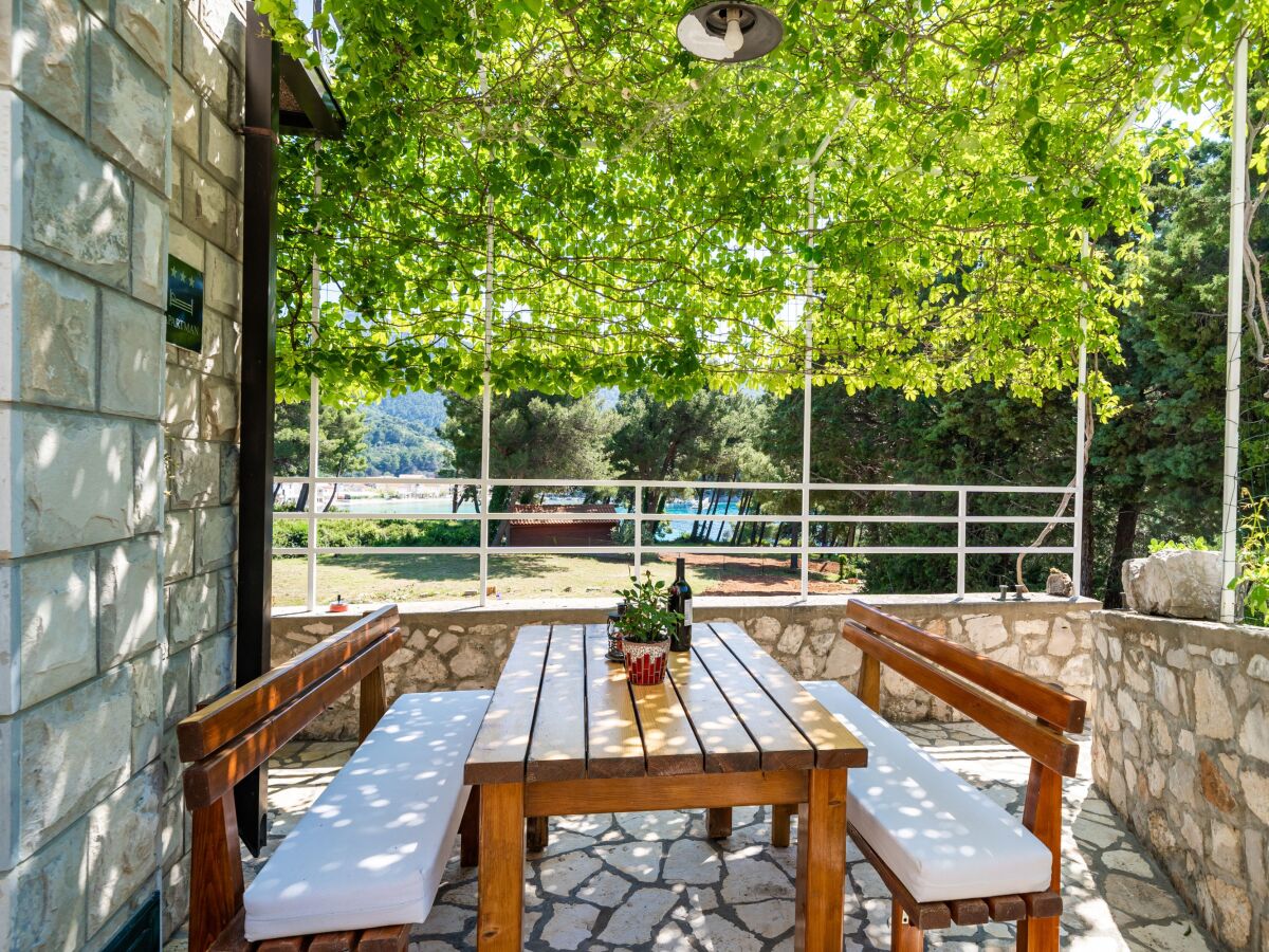 Apartment One bedroom apartment with terrace and sea view Žuljana, Pelješac A-10233-c