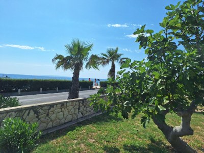 Apartment Studio flat near beach Novalja, Pag AS-9326-a - Outdoor photo 3