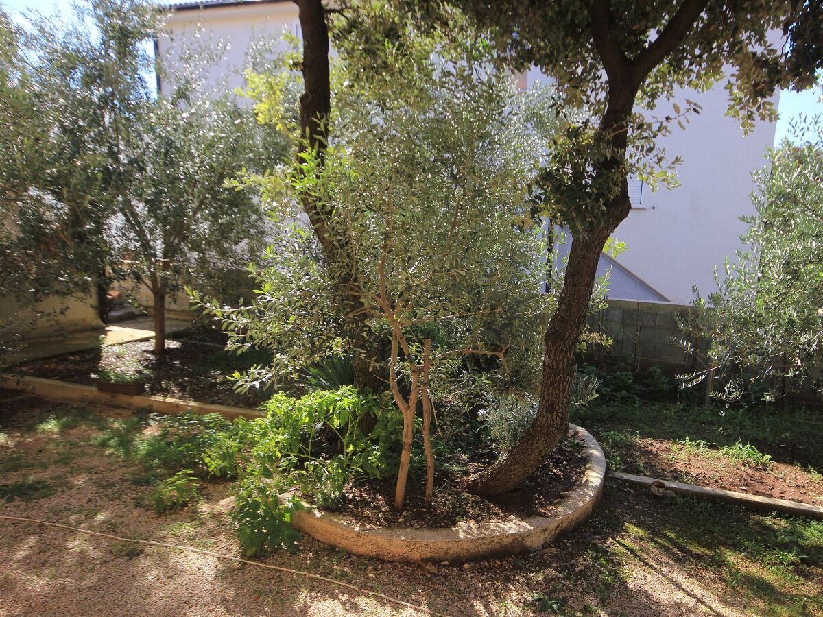 Apartment One bedroom apartment with terrace Mandre, Pag A-9354-a - Outdoor photo 5