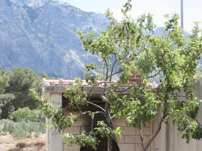 Apartment Studio flat with air-conditioning Baška Voda, Makarska AS-10406-c - Outdoor photo 4