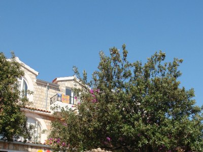 Apartment One bedroom apartment near beach Cove Pokrivenik, Hvar A-10427-c - Outdoor photo 11