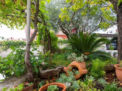 Apartment Three bedroom apartment with terrace Rovinj A-12656-a - Outdoor photo 5