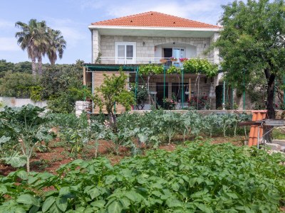 Apartment Two bedroom apartment with terrace Sumartin, Brač A-764-a - Outdoor photo 10