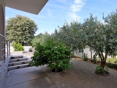 Apartment Two bedroom apartment with terrace Banjol, Rab A-12838-a - Outdoor photo 10
