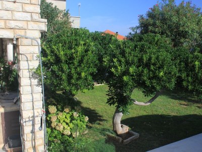 Apartment Apartments and rooms by the sea Tkon, Pašman - 336 - Outdoor photo 7