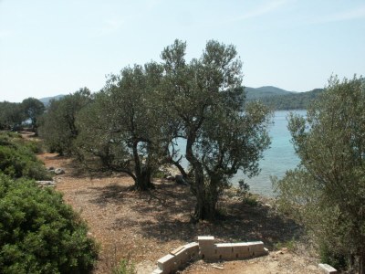 Holiday house Two bedroom house near beach Krknata, Dugi otok K-399 - Outdoor photo 8
