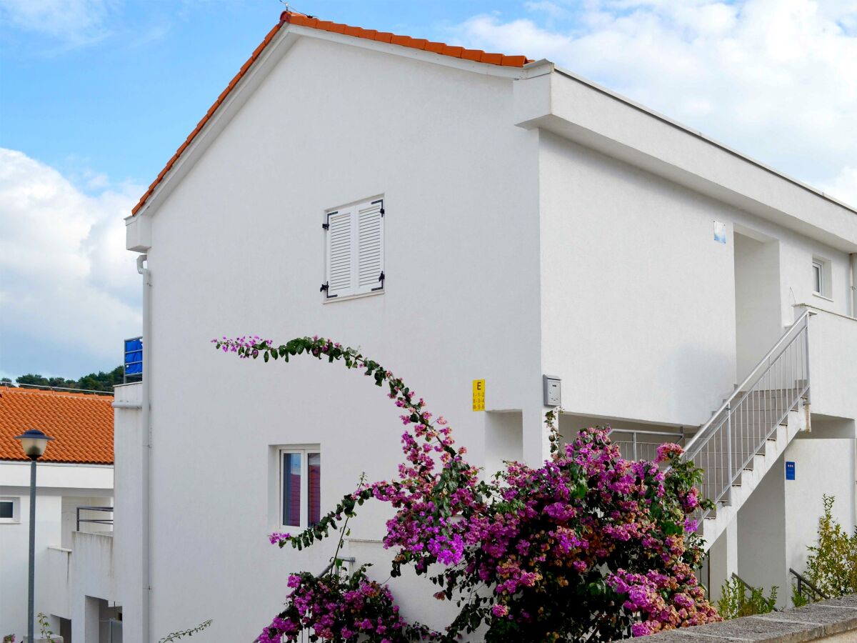Apartment Two bedroom apartment with terrace and sea view Nečujam, Šolta A-5178-a