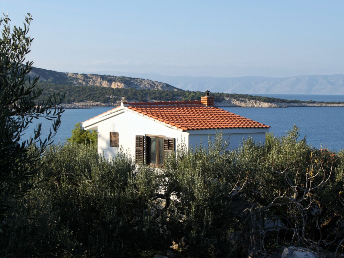 Apartment Two bedroom apartment with terrace and sea view Cove Pokrivenik, Hvar A-5224-a