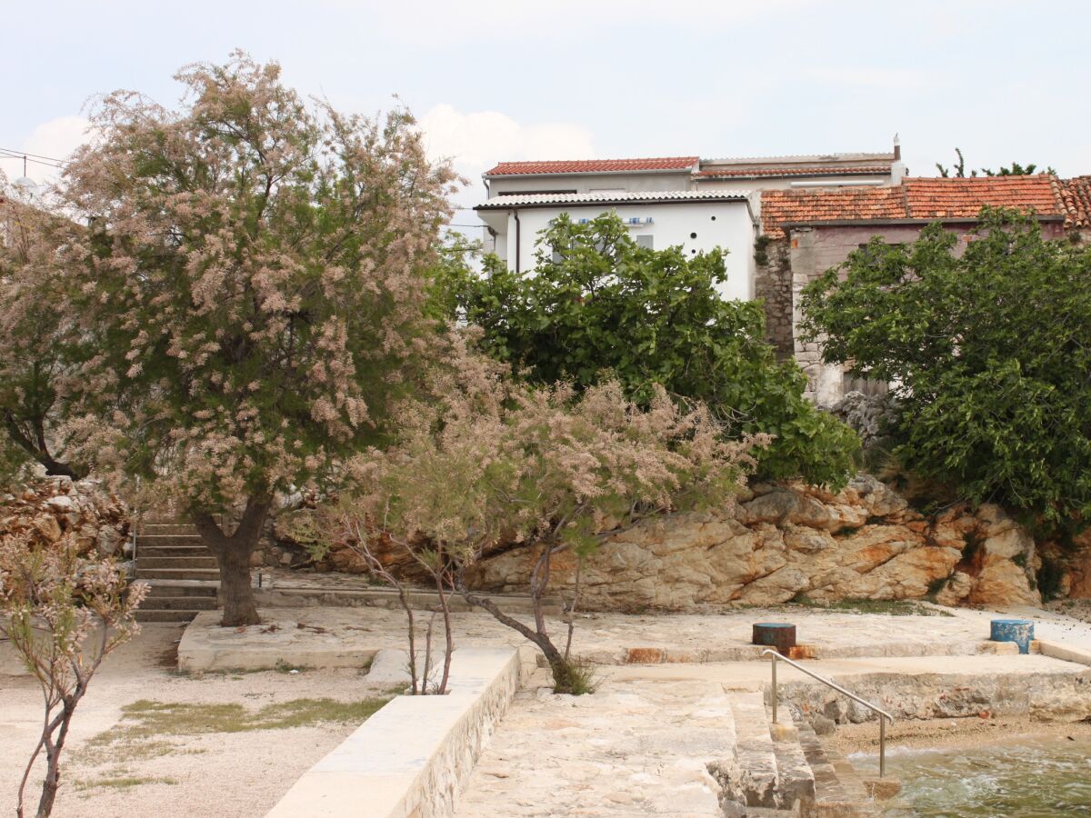 Apartment Apartments by the sea Sveti Petar, Biograd - 6167 - Apartments by the sea Sveti Petar, Biograd - 6167