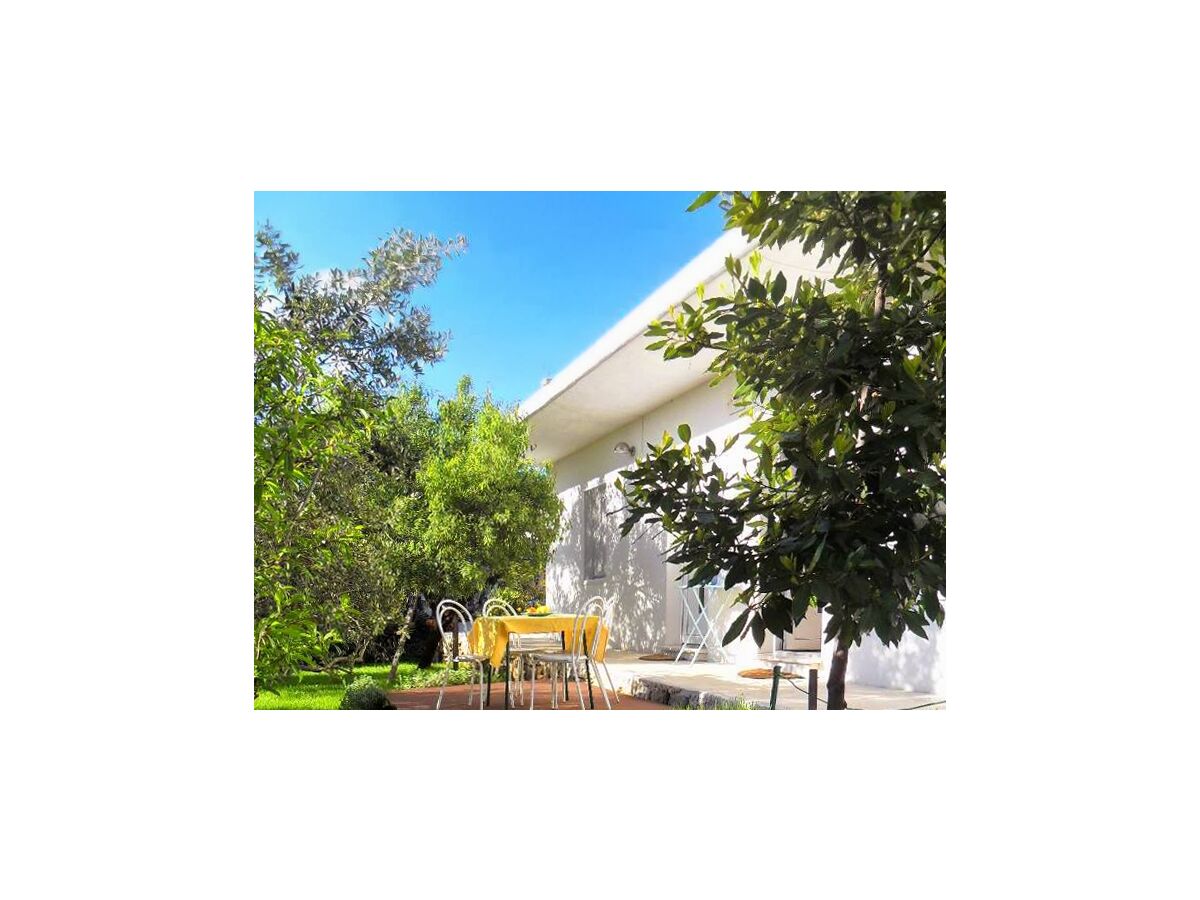 Apartment Apartments with parking space Sumartin, Brač - 5646 - Apartments with parking space Sumartin, Brač - 5646