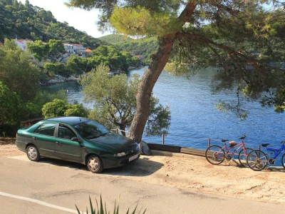 Apartment One bedroom apartment near beach Ubli, Lastovo A-8344-a - Outdoor photo 14