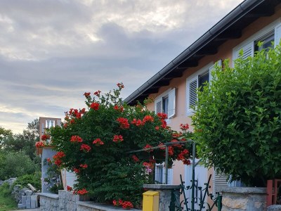 Apartment Two bedroom apartment with terrace and sea view Seline, Paklenica A-17390-a in Starigrad - Apartment