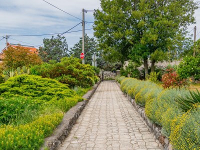 Apartment Studio flat with terrace and sea view Krasica, Rijeka AS-18059-a - Outdoor photo 24