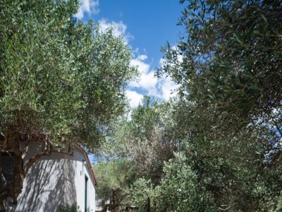 Apartment Studio flat near beach Cove Modrave, Šibenik AS-20191-a - Outdoor photo 16