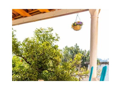 Apartment Two bedroom apartment near beach Cavtat, Dubrovnik A-23017-a - Outdoor photo 29