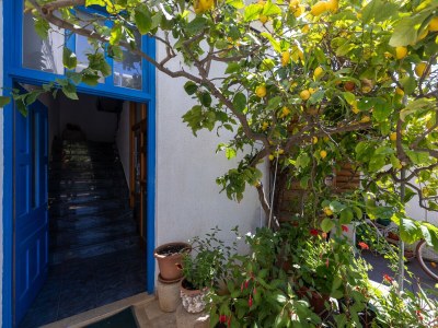 Apartment Studio flat with balcony Sućuraj, Hvar AS-6852-a - Outdoor photo 19