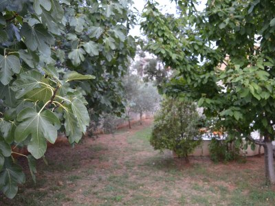Apartment Two bedroom apartment with terrace Punat, Krk A-16307-b - Outdoor photo 5