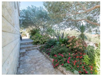 Apartment One bedroom apartment with terrace and sea view Supetar, Brač A-16774-c - Outdoor photo 13