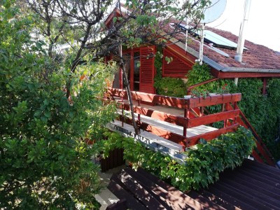 Apartment Apartments by the sea Petrčane, Zadar - 16828 - Outdoor photo 2