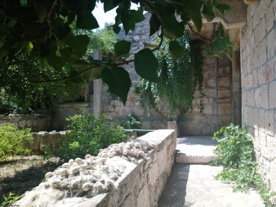 Apartment Studio flat near beach Lumbarda, Korčula AS-14647-b - Outdoor photo 10