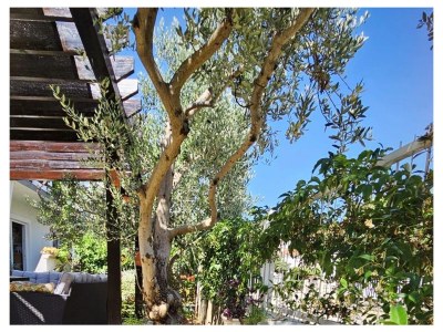 Apartment Two bedroom apartment with terrace Vodice A-15228-a - Outdoor photo 21