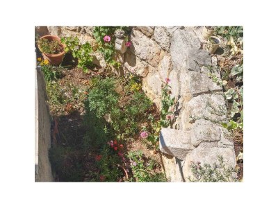Apartment Studio flat with terrace Brist, Makarska AS-15443-a - Outdoor photo 4