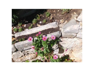 Apartment Studio flat with terrace Brist, Makarska AS-15443-a - Outdoor photo 5