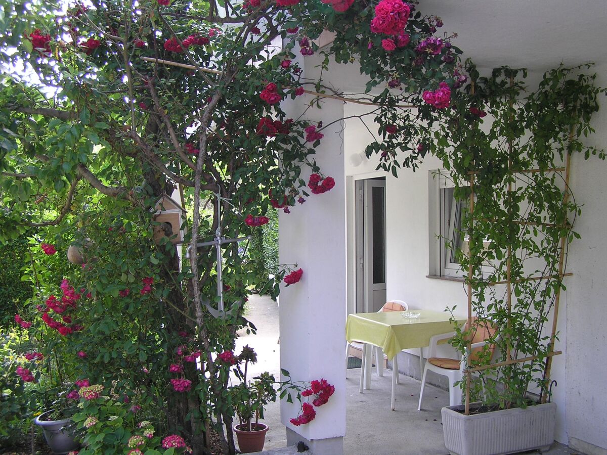 Apartment One bedroom apartment with terrace Supetarska Draga - Donja, Rab A-15999-b