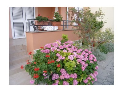 Apartment One bedroom apartment with balcony Sukošan, Zadar A-14970-b - Outdoor photo 6