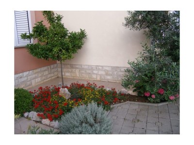 Apartment One bedroom apartment with balcony Sukošan, Zadar A-14970-b - Outdoor photo 14