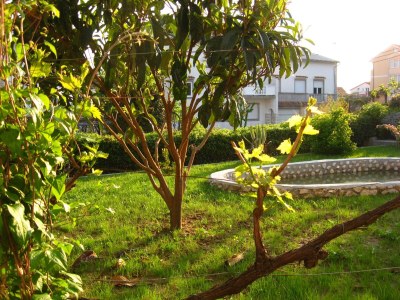 Apartment Two bedroom apartment with terrace Palit, Rab A-14996-a - Outdoor photo 8