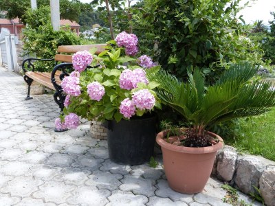 Apartment Two bedroom apartment with terrace Palit, Rab A-14996-a - Outdoor photo 10