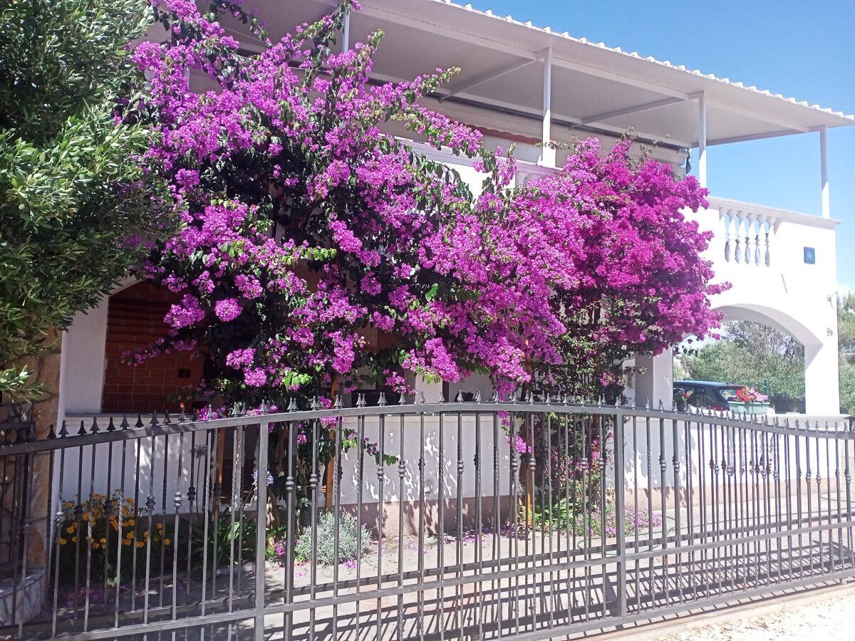 Apartment One bedroom apartment with terrace Drage, Biograd A-17392-b - Outdoor photo 5