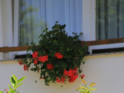 Holiday room with balcony Grabovac, Plitvice S-17419-a - Outdoor photo 16