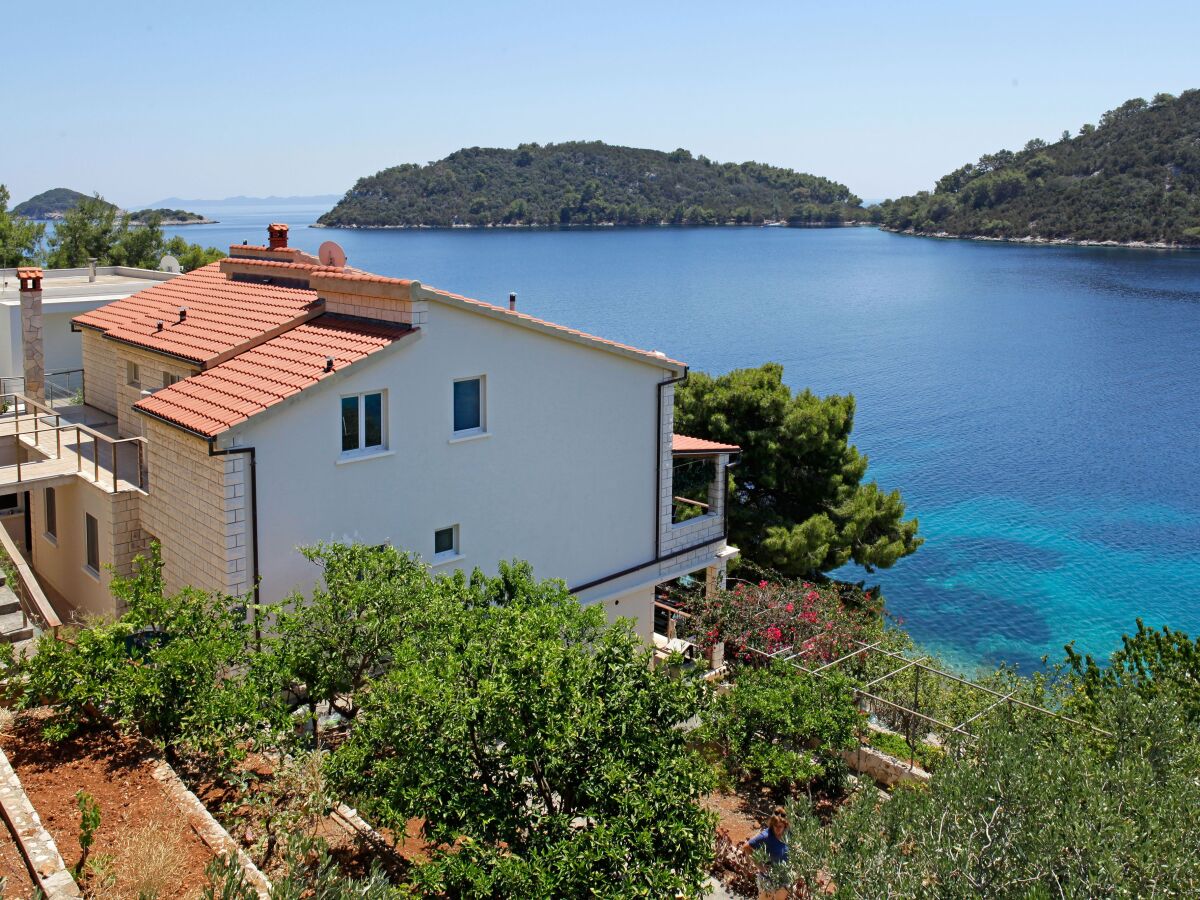 Apartment One bedroom apartment near beach Karbuni, Korčula A-18137-c