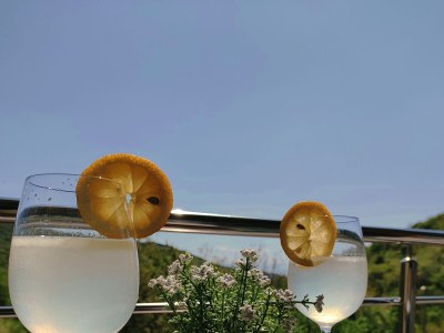 Apartment Three bedroom apartment with terrace Rijeka A-18146-b - Outdoor photo 33