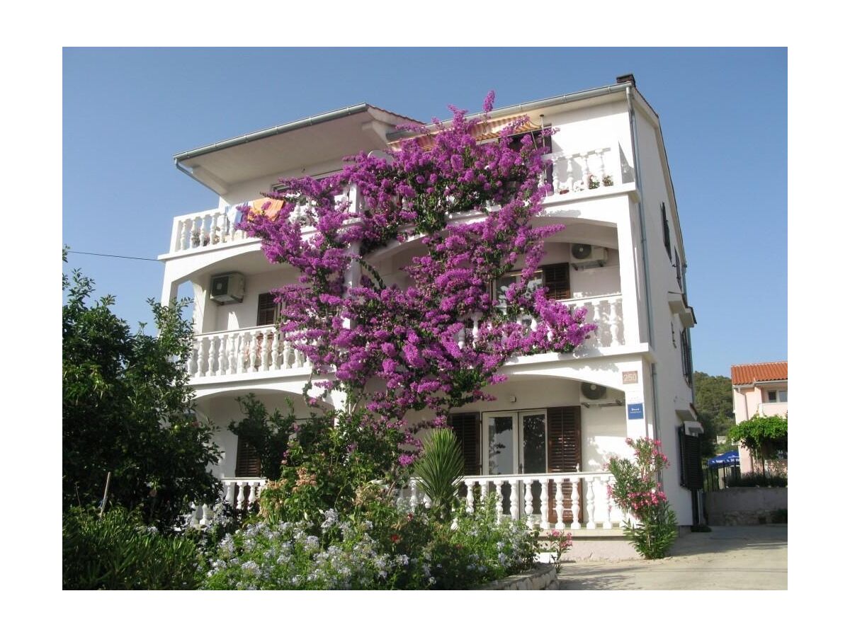 Apartment One bedroom apartment with terrace and sea view Barbat, Rab A-17620-c - Outdoor photo 2