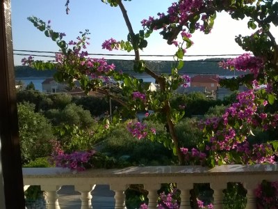 Apartment One bedroom apartment with terrace and sea view Barbat, Rab A-17620-c in Rab - Apartment