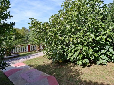 Apartment Two bedroom apartment with terrace and sea view Lopar, Rab A-18001-a - Outdoor photo 15