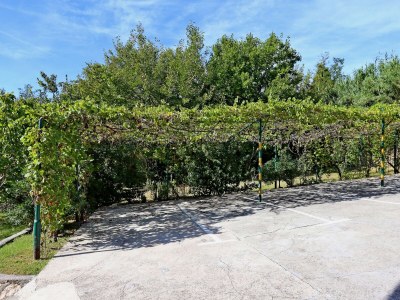 Apartment Studio flat with terrace Lopar, Rab AS-18001-a - Outdoor photo 11