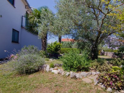 Apartment One bedroom apartment with terrace Milovcici, Krk A-19352-a - Outdoor photo 8