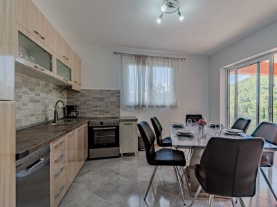 Apartment Two bedroom apartment with terrace and sea view Cove Poplat, Korčula A-20023-b in Vela Luka - Apartment