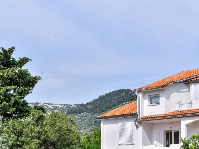 Apartment Two bedroom apartment with terrace Barbat, Rab A-20170-b - Outdoor photo 7