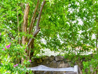Apartment Two bedroom apartment with terrace Barbat, Rab A-20170-c - Outdoor photo 14